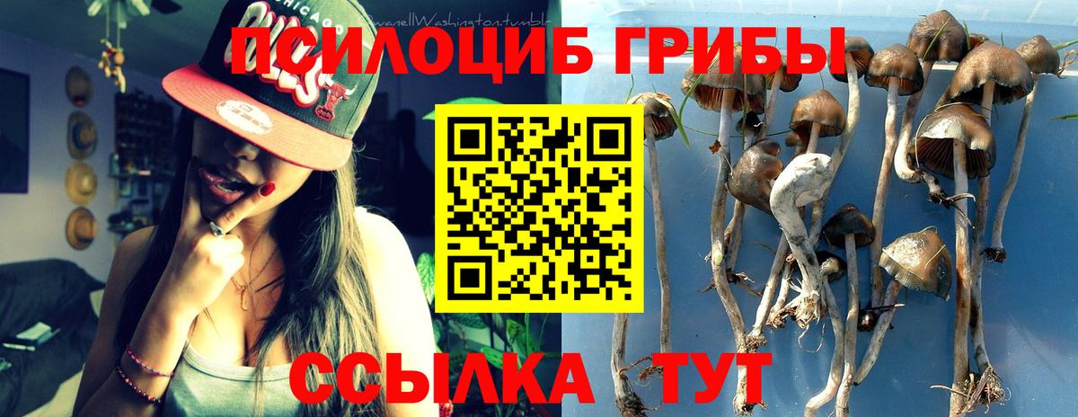 Псилоцибиновые грибы MAGIC MUSHROOMS  Псилоцибиновые грибы MAGIC MUSHROOMS  Вход с VPN  Краснотурьинск 