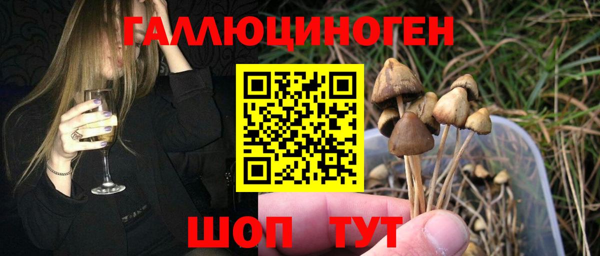Псилоцибиновые грибы Magic Shrooms Краснотурьинск