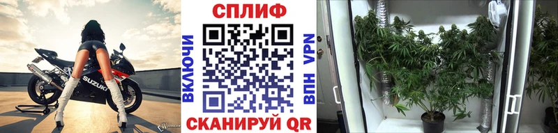 Каннабис Amnesia  omg как войти  Краснотурьинск 